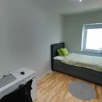 Homestay - Private Room In An Apartment